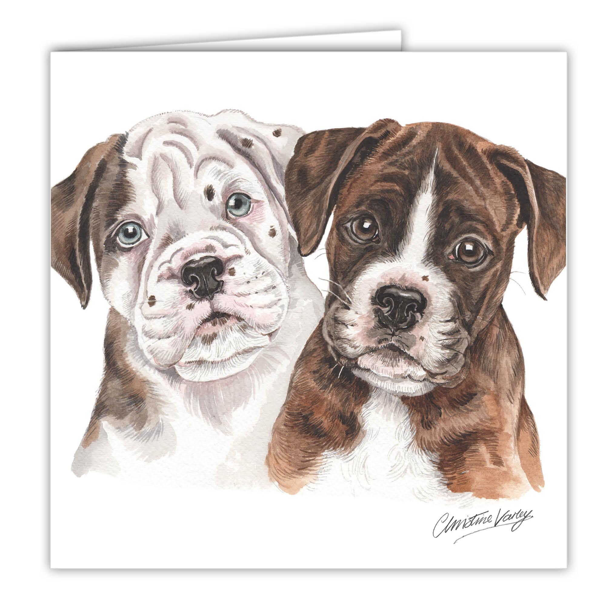 WaggyDogz Boxer Puppies Greetings Card