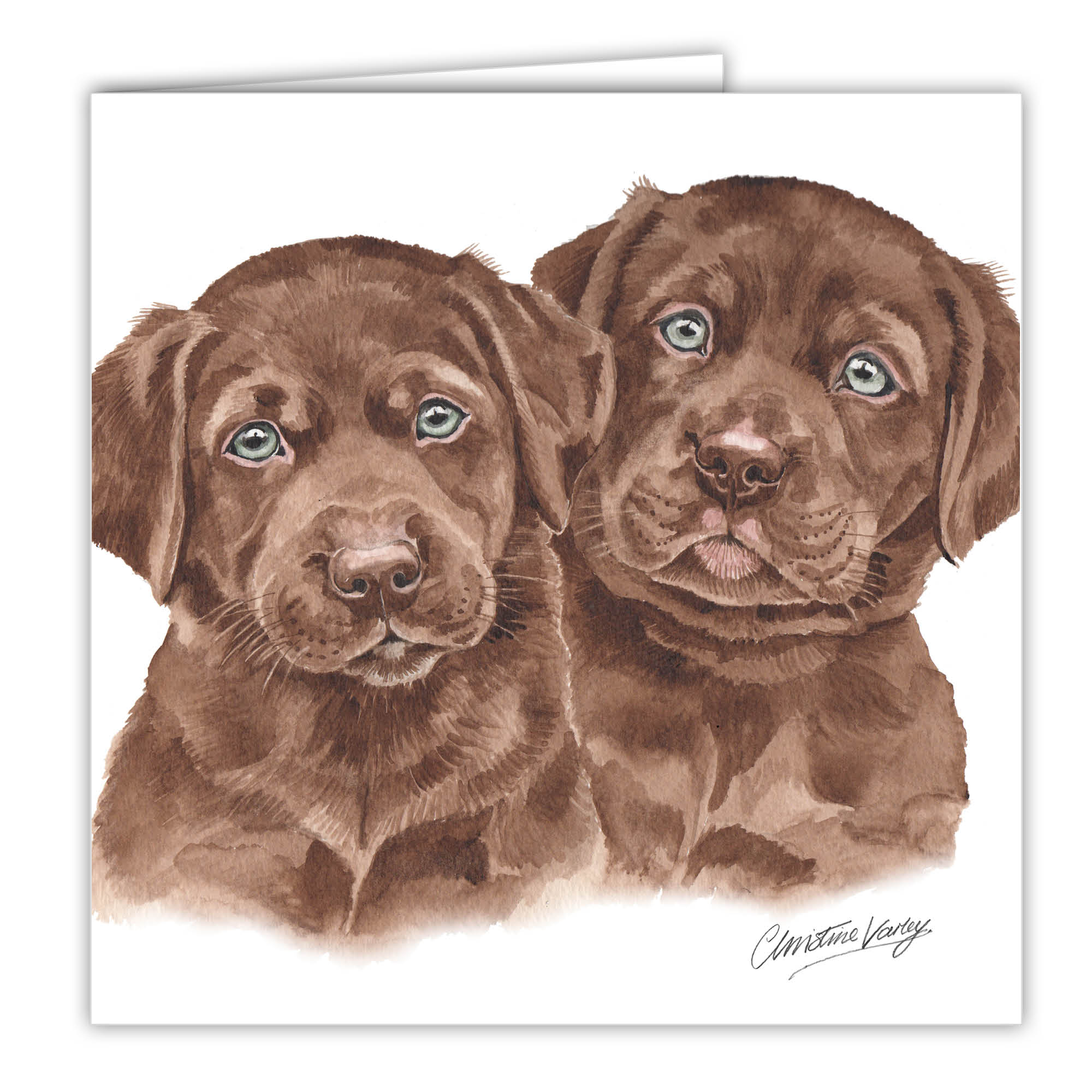 WaggyDogz Chocolate Labrador Puppies Greetings Card