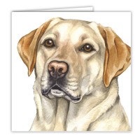 WaggyDogz Golden Labrador Greetings Card