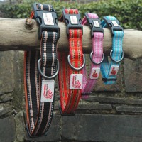 Long Paws Comfort Collection Collar