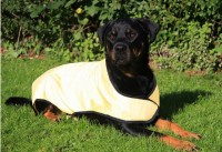 Prestige Pets Cool Dog Cooling Coat