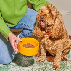 thumbnail-Nutriment Gently Steamed Recipe Beef for Dogs 395g