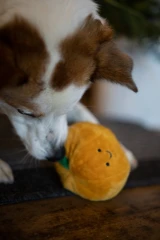 thumbnail-Petface Saski Satsuma Plush Christmas Dog Toy