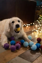 thumbnail-Petface Tennis Ball Christmas Tree