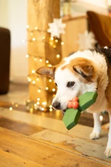 thumbnail-Petface Holly The Latex Christmas Dog Toy