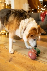 thumbnail-Petface Stefan Stocking Latex Christmas Dog Toy