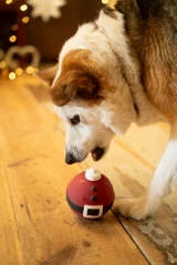 thumbnail-Petface Claus the Christmas Bauble Latex Dog Toy