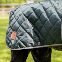 thumbnail-Ancol Heritage Green Quilted Coat