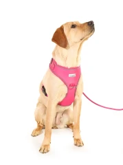 thumbnail-Doodlebone Adjustable Airmesh Harness