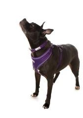 thumbnail-Doodlebone Adjustable Airmesh Harness