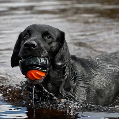 thumbnail-Ancol Extreme Tough Ball Dog Toy
