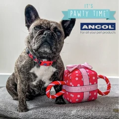 thumbnail-Ancol Pawty It's My Birthday Present Dog Toy