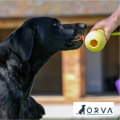 thumbnail-Ancol Orva Skittle Tugger