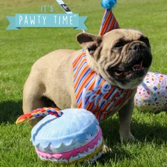 thumbnail-Ancol Pawty Sprinkle Cake Dog Toy