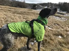 thumbnail-Bark and Ride Lewis Adventure Harness