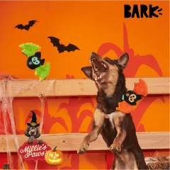 thumbnail-BARK Halloween Flutter and Fang Plush Dog Toy