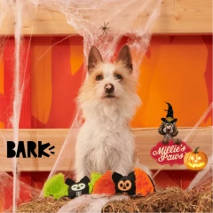 thumbnail-BARK Halloween Flutter and Fang Plush Dog Toy