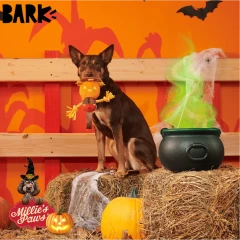 thumbnail-BARK Halloween Jack Crow Lantern Plush Dog Toy