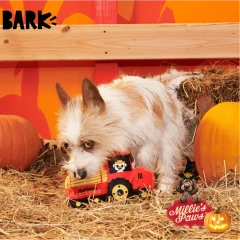 thumbnail-BARK Halloween Oldest McDonald Plush Dog Toy