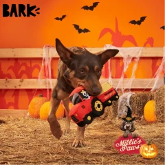 thumbnail-BARK Halloween Oldest McDonald Plush Dog Toy