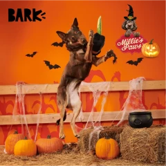 thumbnail-BARK Halloween Texas Chainspaw Plush Dog Toy