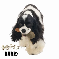 thumbnail-Bark Harry Potter Nimbus 2000 Dog Toy