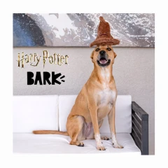 thumbnail-Bark Harry Potter Sorting Hat Plush Dog Toy