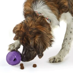 thumbnail-Brightkins Tough and Tumble Treat Dispenser Gnome