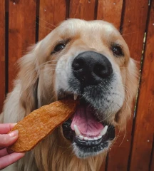 thumbnail-Chicken Jerky Fillets