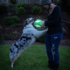 thumbnail-Chuckit! Max Glow Kick Fetch Small 15cm