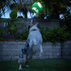 thumbnail-Chuckit! Max Glow Kick Fetch Small 15cm