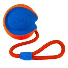 thumbnail-Chuckit! Rope Fetch
