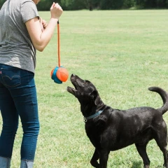 thumbnail-Chuckit! Rope Fetch
