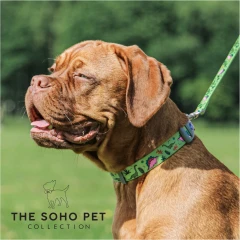 thumbnail-Ancol Dino Patterned Dog Collar
