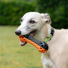 thumbnail-Ancol Extreme Floating Dumbbell Dog Toy