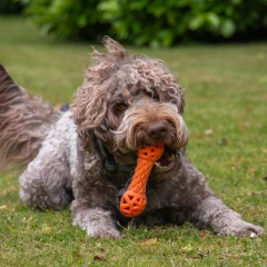thumbnail-Ancol Extreme Floating Dumbbell Dog Toy