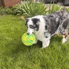 thumbnail-KONG Flexball Sport Ball XLarge