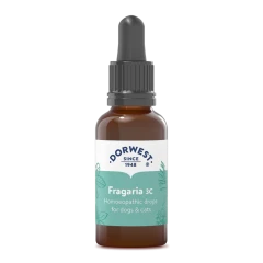 thumbnail-Dorwest Herbs Fragaria 3C Liquid 15ml