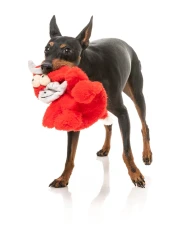 thumbnail-FuzzYard Flat Out Jordan the Bull Dog Toy