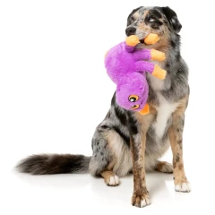 thumbnail-FuzzYard Weborah The Spider Purple Large Dog Toy