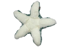 thumbnail-Gor Reef Bobble Mommy Star Fish