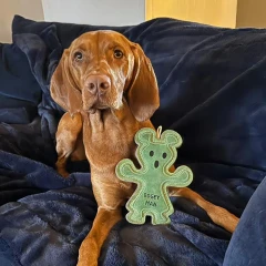 thumbnail-Green and Wild’s Bogeyman Eco Dog Toy