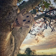 thumbnail-Green and Wild’s Boo Hoo Ghost Eco Dog Toy