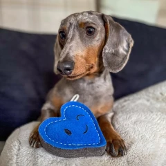 thumbnail-Green and Wild’s Timmy Truelove Eco Dog Toy