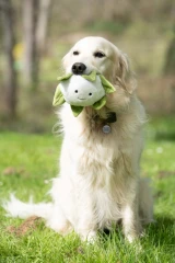 thumbnail-Greenfingers Petface Fluffy Callie Cauliflower Plush Dog Toy