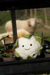 thumbnail-Greenfingers Petface Fluffy Callie Cauliflower Plush Dog Toy