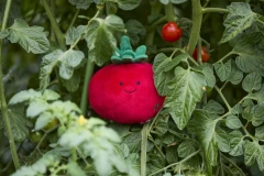 thumbnail-Greenfingers Petface Tigan Tomato Plush Dog Toy