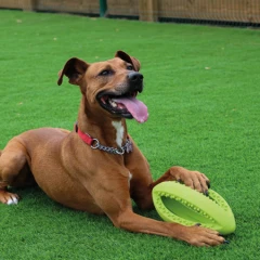 thumbnail-Happy Pet Grubber Interactive Rugby Ball