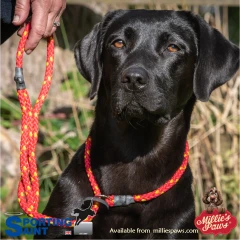 thumbnail-Sporting Saint Gundog Slip Lead 1.5m