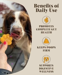 thumbnail-Hackney Dog House Pumpkin Probiotic for Dogs 225g